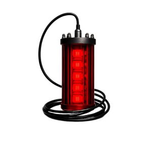 لامپ ماهیگیری زیر آبی